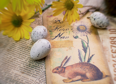 CC直播狼王：荒野之王的狩猎传奇