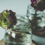 金沙国际平台的安全性分析:如何保障玩家的资金与信息安全 55ct0