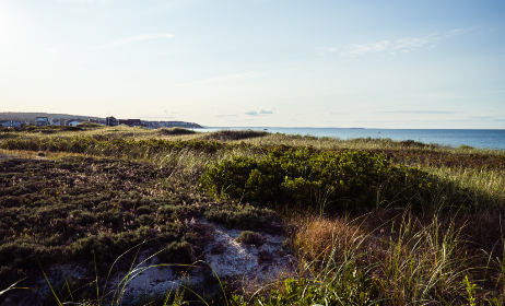 CC直播2.3版本全新上线,精彩功能抢先体验