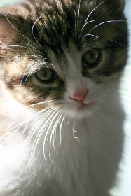 金沙国际的旅游攻略:如何玩转这个度假胜地