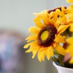 金沙平台网站用户体验评测与内容合规性审查报告 dv7yk2vibc