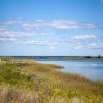 金沙线上赌博合规性分析与用户权益保护要点总结 fl7re4fd