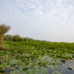 金沙城的娱乐活动:尽享刺激与放松的完美结合 gfusekimyt