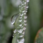 CC直播间NBA精彩对决,热血赛事全天不停歇 tedoip41ne